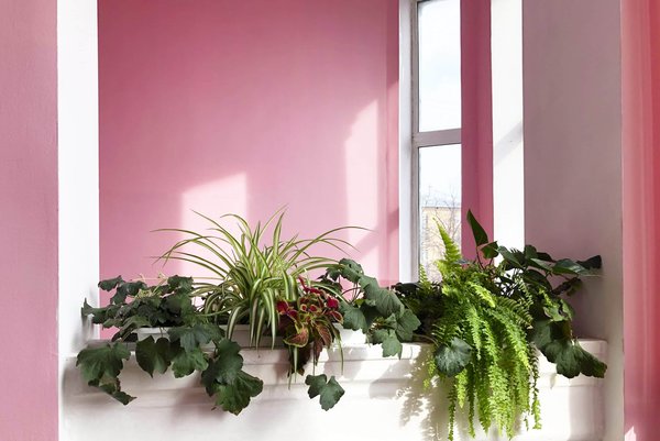 How to Pick the Right Geometric Jewelry to Complement a Minimalist Office Wardrobe?